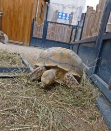 Tipp für den nächsten Besuch im Zoo