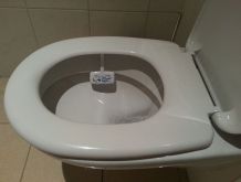 Tabs für die Toilette herstellen