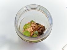 Verdauung fördern mit Smoothies