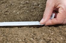 Saatband für den Gemüsegarten selber anfertigen
