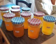 Für Sirup eingelegte Holunderblüten und Zitronen weiterverwerten