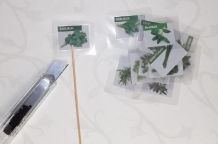 Welches Kraut sieht wie aus und schmeckt zu was?