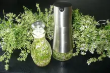 Thymianhonig mit Orangenmarmelade & Thymianessig