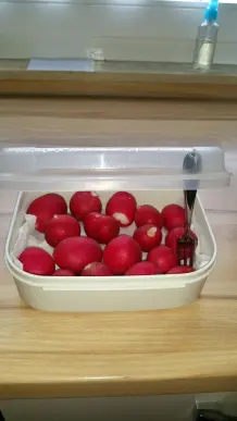 Radieschen länger frischhalten