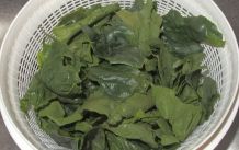 Spinatsalat