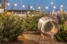 Den richtigen Weihnachtsbaum kaufen