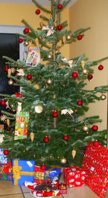 Den richtigen Weihnachtsbaum kaufen
