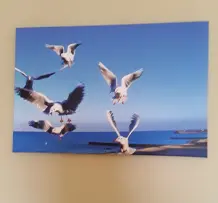 Urlaubsfoto wird zu besonderem Bild für die Wohnzimmerwand