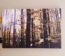 Urlaubsfoto wird zu besonderem Bild für die Wohnzimmerwand