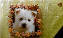Puzzleteile als Rahmen für ein Wandbild
