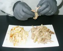 "Pulled Goose": Ein Männersandwich