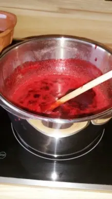 Früchte im Schnellkochtopf entsaften und Gelee herstellen