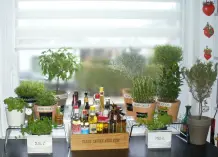 Ein Treppchen für den Küchenkräutergarten