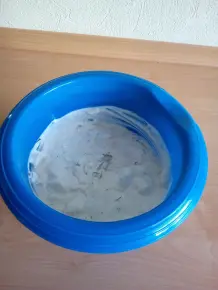 Frische Matjes wie in Nordfriesland