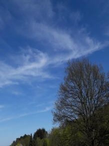 Auch im Frühling auf Sonnenschutz achten