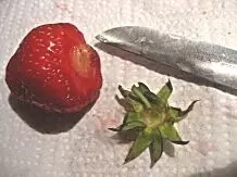 Beim Putzen von Erdbeeren sollte man ein scharfes, spitzes Messer benutzen, mit dem die Kelchblätter sauber entfernt werden können, ohne dass etwas vom Fruchtfleisch verloren geht.