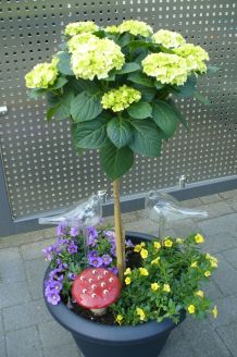 Gläserne Blumen-Wasserspender reinigen