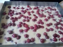 Kirschkuchen (Blechkuchen)
