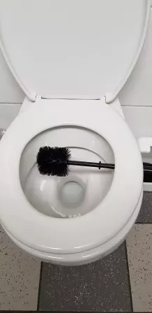 Toilettenbürste desinfizieren