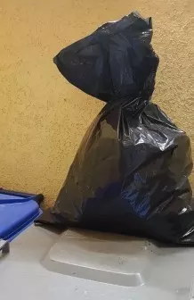 Tiere von der Mülltonne fernhalten