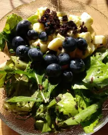 Wildsalat mit Mozzarella, Blaubeeren und Mohndressing