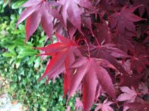 Habt ihr das gewusst? 10 Fakten zum Herbst