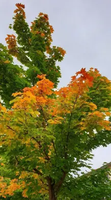 Habt ihr das gewusst? 10 Fakten zum Herbst