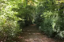Herbst-Tees: Heißes für kuschelige Wohlfühlmomente