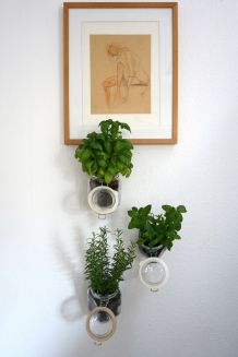 Kräutergarten im Einweckglas