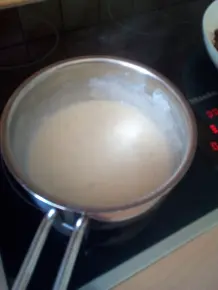 Cannelloni Bologneser Art im Spinatbett