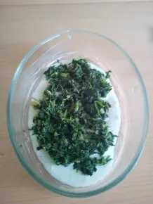 Cannelloni Bologneser Art im Spinatbett