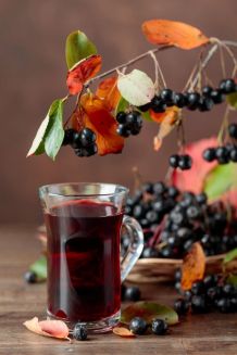 Herbstlicher Likör mit Holunderbeeren, Schlehen & Zimt