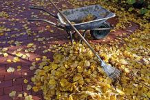 Herbstlaub entfernen: Arbeit erleichtern und Zeit einsparen