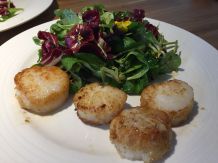 Leckere angebratene Jakobsmuscheln mit Salat