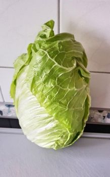 Der Zuckerhut: Ein sehr leckerer und gesunder Wintersalat