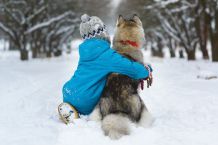 Die glücklichen Winterkinder auf der Winterinsel
