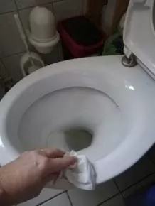 Toilette hygienisch putzen