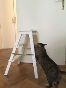 Kratz-Trittleiter für Katzen