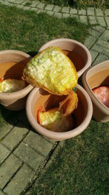 Große Blumenkübel bepflanzen & Drainage herstellen