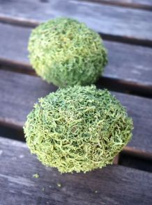 Ostereier mit Moos basteln