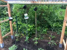 Tomatenhaus selber bauen