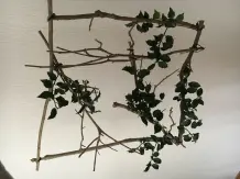 Zarter Fensterschmuck aus der Natur