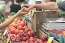 Plastik vermeiden im Alltag