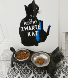 Nassfutter für Katzen bei Hitze