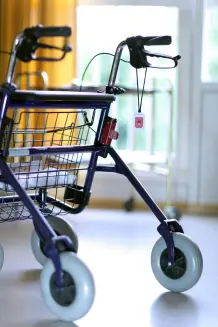 Super passende flotte Tasche für Standard-Rollator für wenig Geld