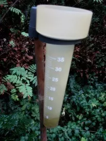 Richtiges Bewässern des Gartens bei hochsommerlichen Temperaturen