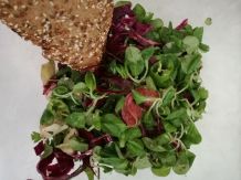 Feldsalat mit Putensalami, Artischocken, Grillpaprika und Rotkraut