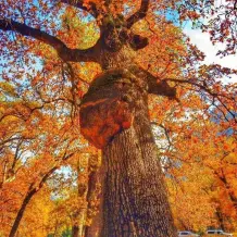 9 Coole Outdoor-Aktivitäten im Herbst