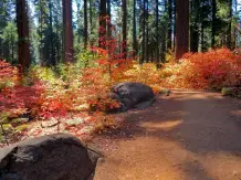9 Coole Outdoor-Aktivitäten im Herbst