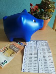1378 Euro im Jahr sparen